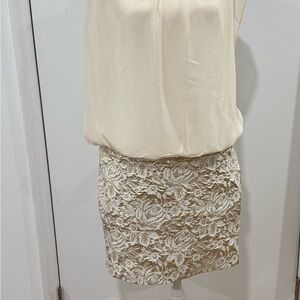 Ivory Blouse with Champagne Lace Floral Skirt Set